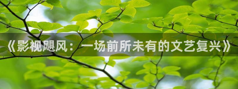 超碰7777：《影视飓风：一场前所未有的文艺复兴》
