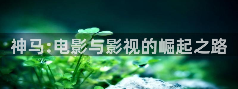 98av在线超碰