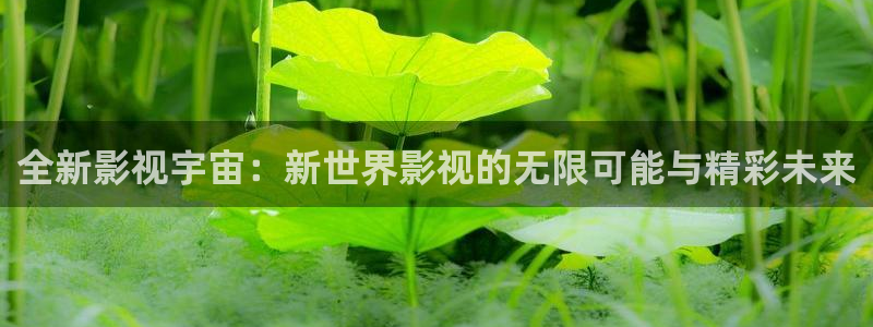 97免费超碰：全新影视宇宙：新世界影视的无限可能与精彩未来